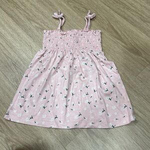 Hanna Andersson Pink Dress with Snowflake and Bird Design